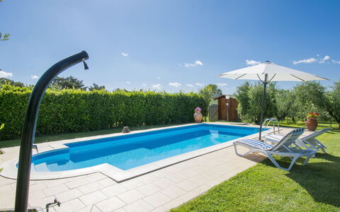 Oliveta: Piscine, Propriété, Immobilier, Loisir, Maison, Herbe, Villa, Vacances, Domicile, Bâtiment