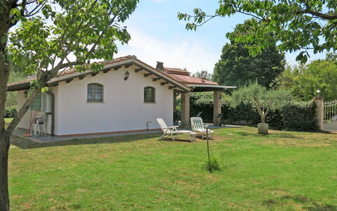 Luisa: Plante, Ciel, Bâtiment, Fenêtre, Arbre, Maison, Lot Terre, Herbe, Chalet, Nuage