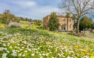 Podere Casina