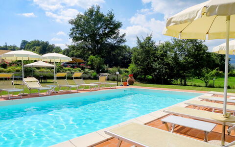 Dilia: L'Eau, Nuage, Plante, Ciel, Propriété, Meubles, Piscine, La Nature, Bleu Azur, Arbre