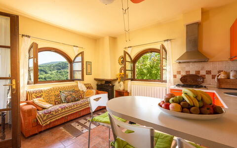La Limonaia: Table, Meubles, Propriété, Plante, Canapé, Fenêtre, Plante D'Appartement, Bois, Orange, Éclairage