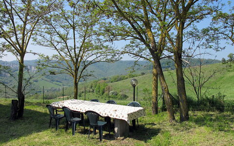 Sociano: La Nature, Arbre, Paysage Naturel, Table, Réserve Naturelle, Meubles, Herbe, Zone Rurale, Printemps, Feuille
