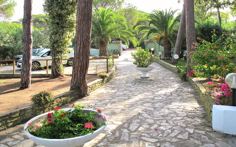 Villa Margherita: Propriété, Jardin, Aménagement Paysager, Dalle, Botanique, Immobilier, Passerelle, Arrière-Cour, Cour, Arbre