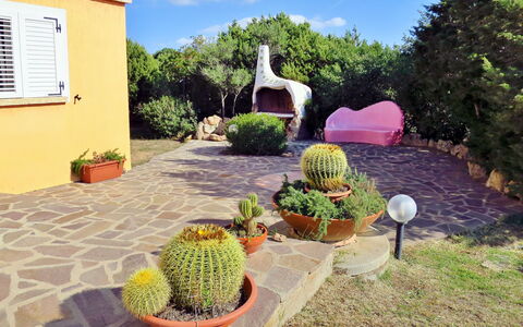 Nanai: Propriété, Jardin, Cactus, Maison, Plante, Botanique, Paysage, Jardin Botanique, Aménagement Paysager, Immobilier