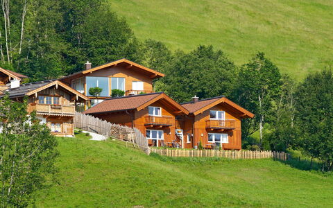 Flachau 617: Plante, Bâtiment, Propriété, Fenêtre, Écorégion, Arbre, Maison, Paysage Naturel, Bois, Lot Terre