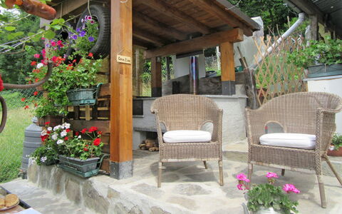 Casa Kiwi: Fleur, Plante, Bâtiment, Pot De Fleur, Plante D'Appartement, Ombre, Design Intérieur, Mobilier De Jardin, Chaise