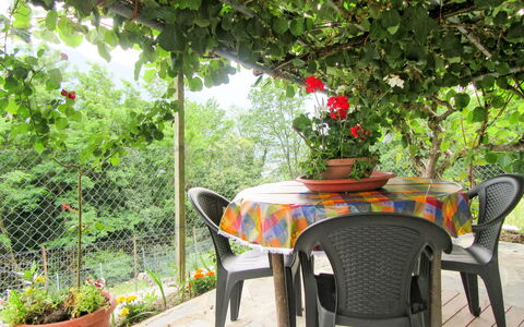 Casa Kiwi: Patio, Table, Tableau De Plein Air, Meubles, Propriété, Jardin, Arrière-Cour, Botanique, Cour, Maison