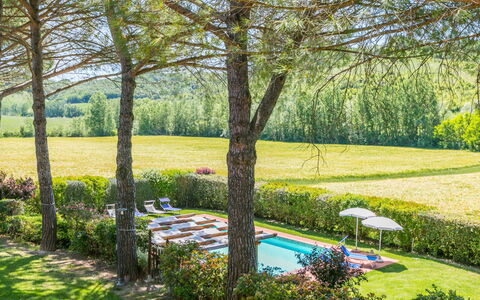 Castelfiorentino 649: Plante, Propriété, Communauté Des Plantes, Fleur, Vert, Paysage Naturel, Arbre, Végétation, Lot Terre, Herbe