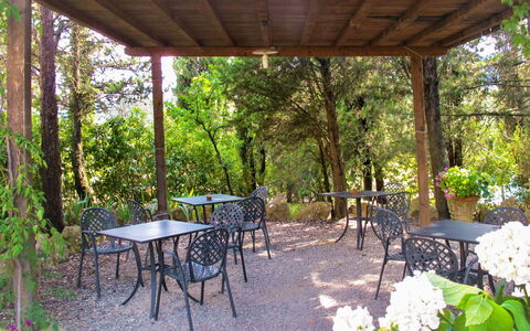San Gimignano 694: Plante, Table, Fleur, Meubles, Chaise, Ombre, Arbre, Botanique, Mobilier De Jardin, Tableau De Plein Air