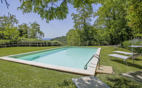 Florence 646: L'Eau, Piscine, Rectangle, Ombre, Plante, Ciel, Herbe, Arbre, Mobilier De Jardin, Loisir