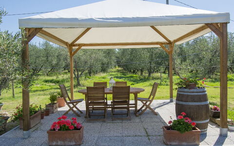 Cecina 613: Plante, Ciel, Communauté Des Plantes, Pot De Fleur, Fleur, Plante D'Appartement, Ombre, Mobilier De Jardin, Arbre, Tableau De Plein Air