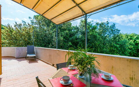 Beach Home: Meubles, Propriété, Table, Plante, Ombre, Chaise, Mobilier De Jardin, Pot De Fleur, Design Intérieur, Éclairage