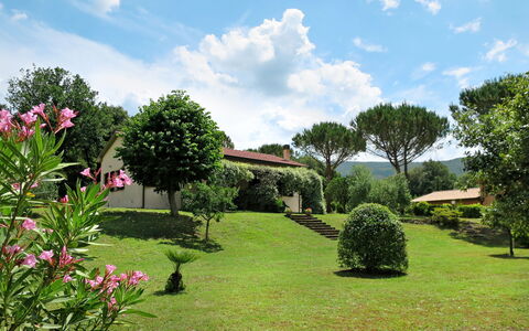 Roccastrada 622: Nuage, Ciel, Fleur, Plante, Propriété, Communauté Des Plantes, Arbre, Paysage Naturel, Botanique, Bâtiment