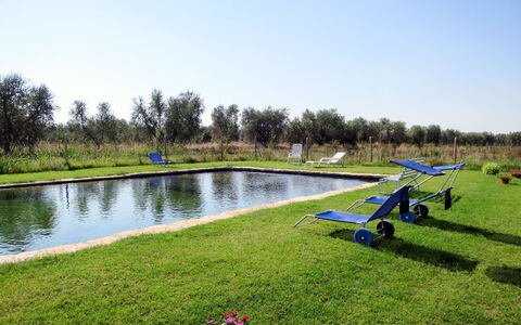Roccastrada 623: Paysage Naturel, Jardin, Étang, Pelouse, Prairie, Réservoir, Réflexion, Cour, Champ, Machine