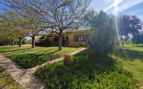 Roccastrada 623: Plante, Ciel, Paysage Naturel, Arbre, Lot Terre, Lumière Du Soleil, Nuage, Suppression Des Plantes Ligneuses, Arbuste, Paysage