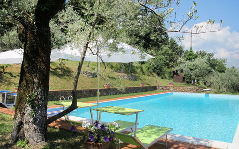 Montevarchi 613: L'Eau, Plante, Ciel, Piscine, La Nature, Botanique, Arbre, Mobilier De Jardin, Ombre, Nuage