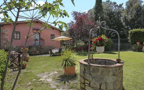 Montevarchi 613: Plante, Propriété, Pot De Fleur, Ciel, Fleur, Arbre, Lot Terre, Biome, Bâtiment, Chalet