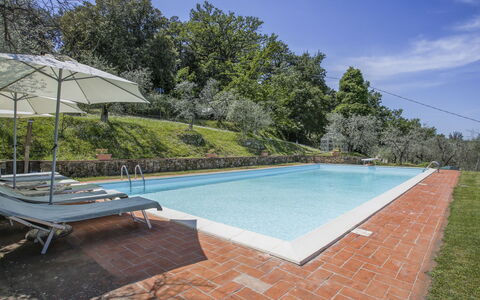 Montevarchi 613: L'Eau, Ciel, Piscine, Arbre, Rectangle, Plante, Mobilier De Jardin, Ombre, Herbe, Composite