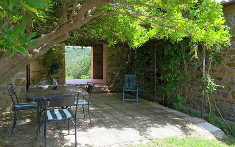 Lago Trasimeno 611: Propriété, Arbre, Cour, Arrière-Cour, Maison, Botanique, Jardin, Bâtiment, Plante, Table