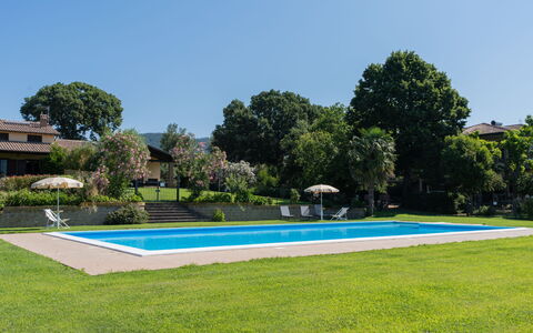 Lago di Bolsena 618: Plante, Ciel, L'Eau, Piscine, Bleu Azur, Arbre, Bâtiment, Lot Terre, Végétation, Rectangle