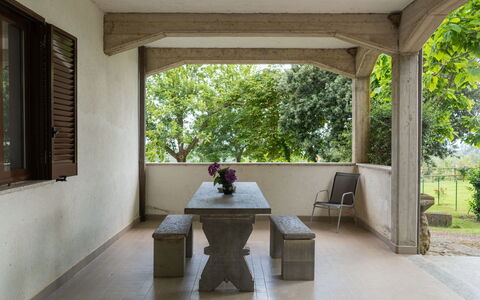 Lago di Bolsena 618: Plante, Fenêtre, Ombre, Design Intérieur, Arbre, Bois, Immobilier, Sol, Teintes Et Ombres, Bâtiment