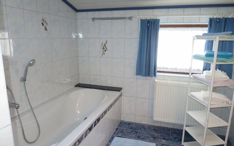 Liftblick: Baignoire, Bâtiment, Luminaire Plomberie, Fenêtre, Salle De Bains, Douche, Maison, Sol, Sol