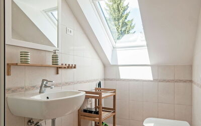Logement:&nbsp;Apartma Jelen 910.4