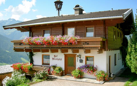 Bramberg am Wildkogel 697: Plante, Fleur, Ciel, Nuage, Bâtiment, Propriété, Fenêtre, Porte, Maison, Arbre
