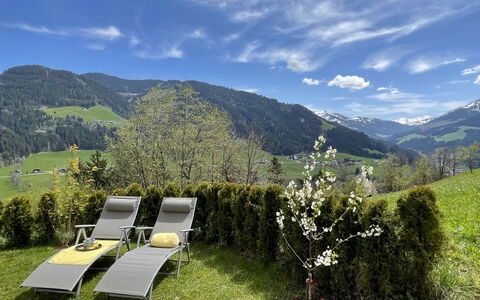 Bergblick: Nuage, Ciel, Plante, Montagne, Fleur, Communauté Des Plantes, Écorégion, Paysage Naturel, Arbre, Lot Terre
