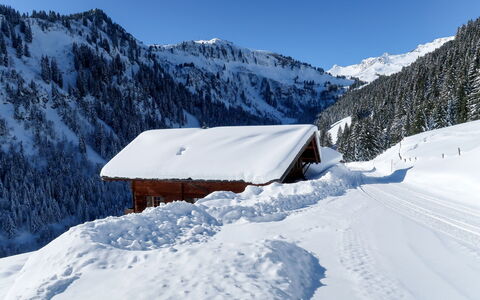 Naulaz: Neige, L'Hiver, Montagne, Montagnes Relief, Blanc, Chaîne De Montagnes, Géologique Phénomène, Ciel, Alpes, Glacial Relief