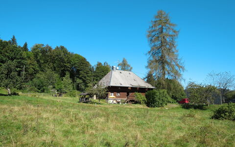 Bistenhof: Paysage Naturel, Propriété, Maison, Arbre, Région Sauvage, Zone Rurale, Prairie, Prairie, Chalet, Lot Terre