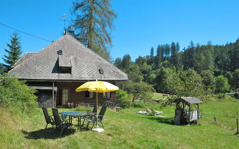 Bistenhof: Plante, Ciel, Montagne, Arbre, Paysage Naturel, Lot Terre, Herbe, Chalet, Paysage, Ombre