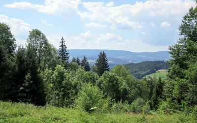 Kreuzbuche