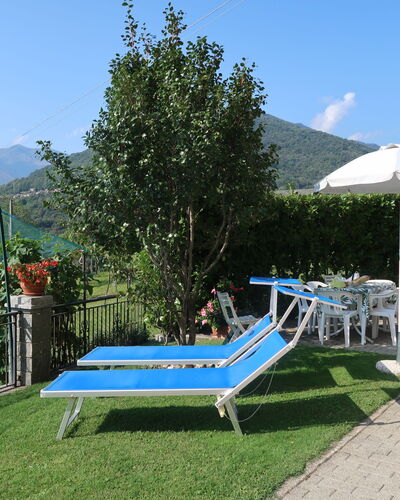Gialla