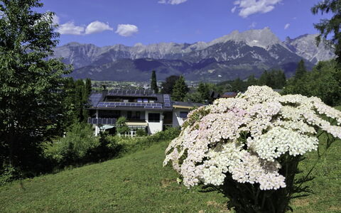 Saalfelden am Steinernen Meer 613: Montagnes Relief, Fleur, Montagne, Chaîne De Montagnes, Station De Montagne, Jardin, Alpes, Crête, Vallée, Sommet
