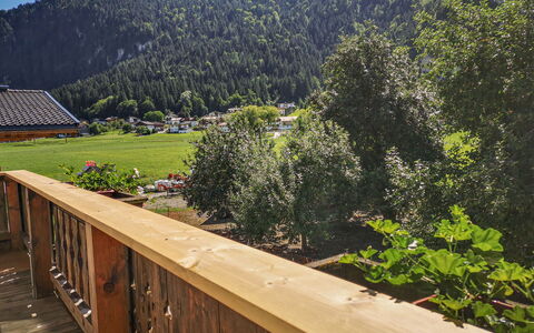 Kainer: Plante, Montagne, Écorégion, Ciel, Paysage Naturel, Bois, Arbre, Biome, Herbe, Pente
