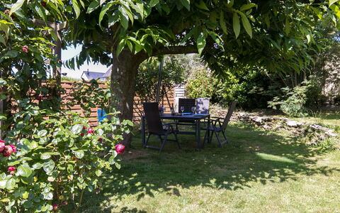Ty-Rozen: Plante, Fleur, Communauté Des Plantes, Arbre, Herbe, Ombre, Suppression Des Plantes Ligneuses, Arbuste, Paysage, Couverture De Sol