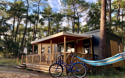 Logement:&nbsp;Premium Cocoon 649.3