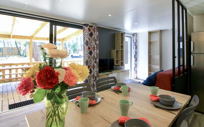 Logement:&nbsp;Premium Cocoon 649.3