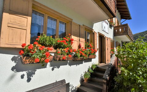 Livigno 695: Plante, Fleur, Bâtiment, Propriété, Fenêtre, Pot De Fleur, Feuille, Bois, Orange, Maison