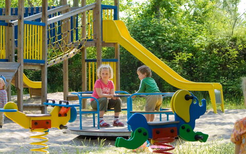 Rosolina Mare 620: Plante, Arbre, Chute, Terrain De Jeux, Loisir, Amusement, Été, Des Loisirs, Équipement Extérieur Play, Herbe