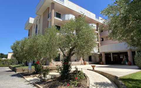 San Vincenzo 651: Plante, Bâtiment, Ciel, Propriété, Jour, Fenêtre, Arbre, Architecture, Design Urbain, Ombre