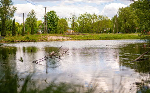 Zatylówka Dom Na Wyspie: L'Eau, Ressources En Eau, Vert, Plan D'Eau, La Nature, Arbre, Environnement Naturel, Paysage Naturel, Végétation