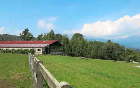 La Bertolina: Prairie, Pâturage, Herbe, Propriété, Paysage Naturel, Lot Terre, Ferme, Zone Rurale, Prairie, Ciel