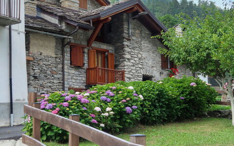 Ivan: Fleur, Plante, Bâtiment, Propriété, Fenêtre, Maison, Arbre, Ciel, Bois, Chalet