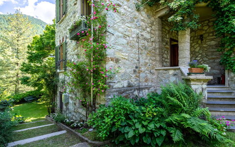 Villa Biino: Plante, Propriété, Bâtiment, Fenêtre, Ciel, Vert, Nuage, Végétation, Fleur, Biome