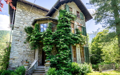 Villa Biino: Plante, Ciel, Bâtiment, Propriété, Fenêtre, Vert, Arbre, Porte, Végétation, Lot Terre