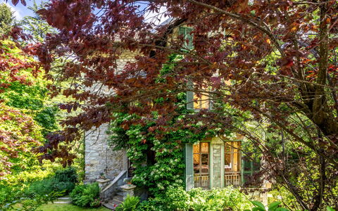 Villa Biino: Plante, Propriété, Fenêtre, Paysage Naturel, Arbre, Brindille, Tronc, Herbe, À Feuilles Caduques