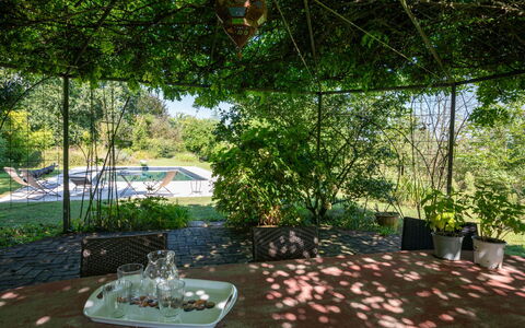 Carla: Plante, Chaise, Ombre, Arbre, Pot De Fleur, Mobilier De Jardin, Herbe, Loisir, Table, Paysage