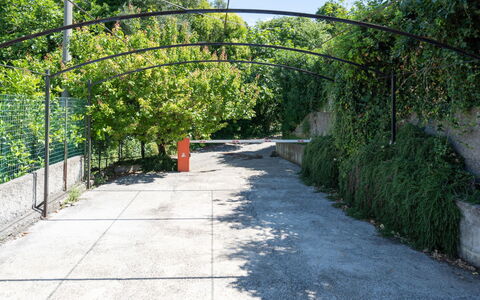 Degli Aranci (Imp385): Végétation, Vert, Arbre, Passerelle, Espace Public, Feuille, Architecture, Botanique, Trottoir, Surface De La Route